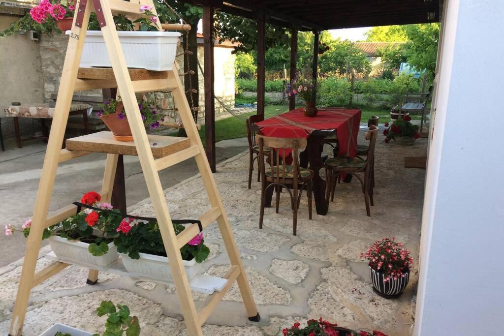 Guest House Kostadinovi Bulgarevo Exterior photo